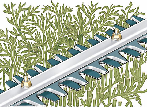 Wersja do formowania