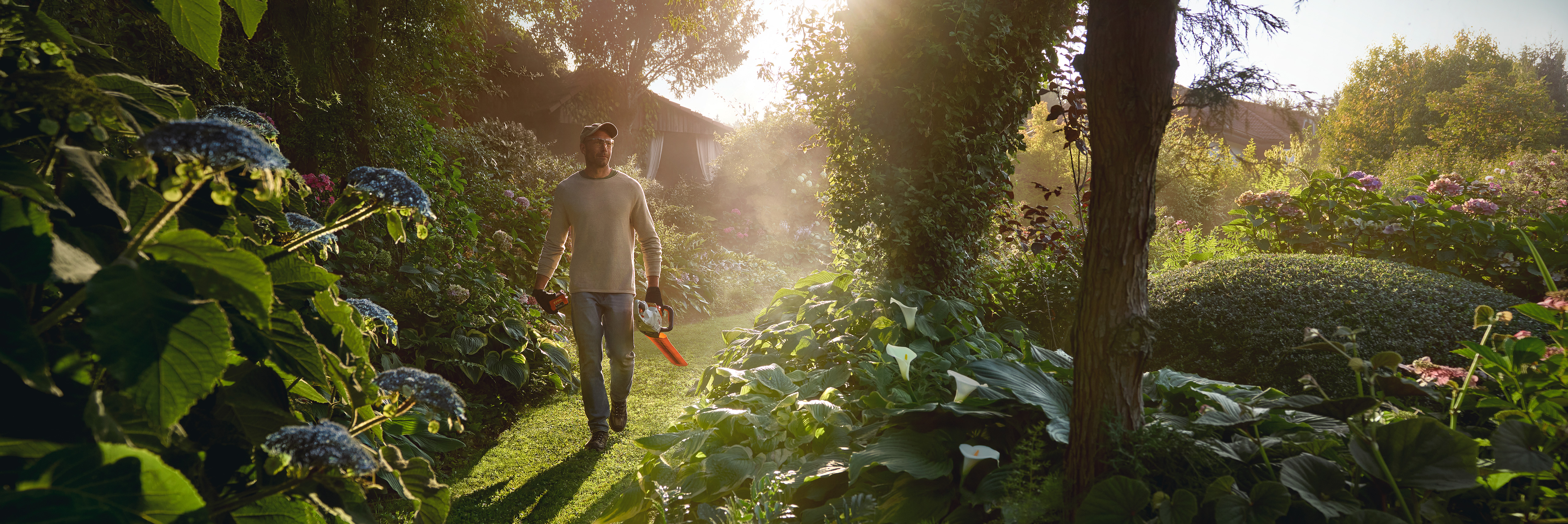 Mężczyzna spacerujący po słonecznej, bujnej, zielonej ścieżce ogrodowej pomiędzy dużymi, niebieskimi krzewami hortensji i innymi kwitnącymi roślinami, niosący szaro-pomarańczową maszynkę do podcinania żywopłotów STIHL. W tle, pomiędzy drzewami, widoczna jest mała drewniana szopka.