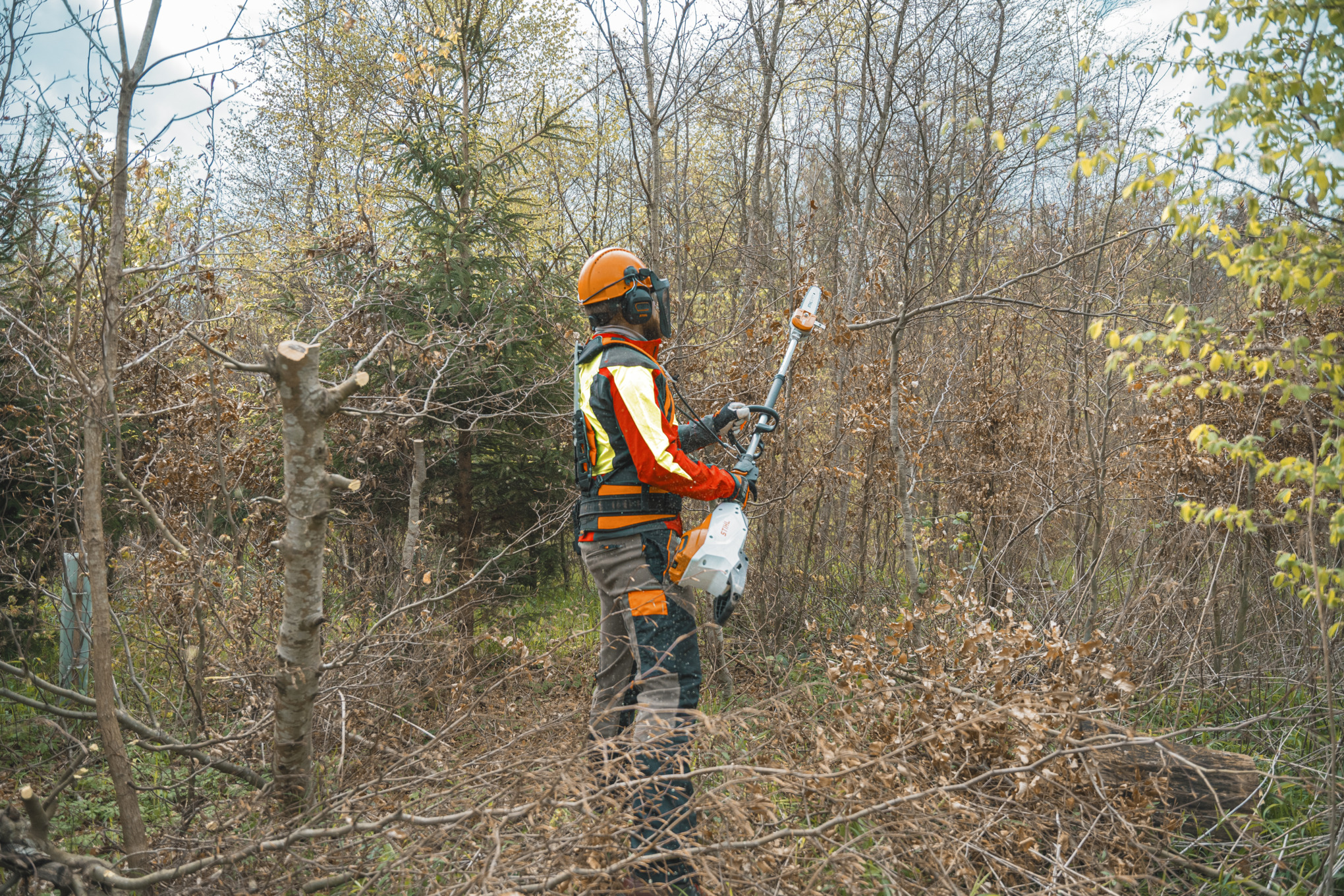 Osoba widziana z tyłu obcina gałąź podkrzesywarką STIHL HTA 150