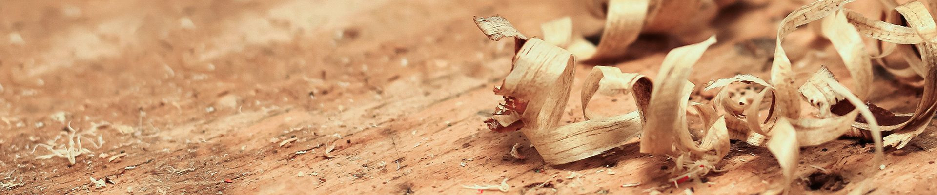 Historyczny model pilarki, Typ BL | STIHL