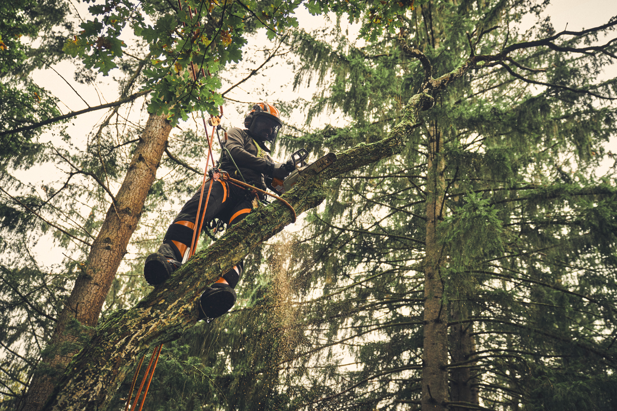 MSA 220 TC-O z akumulatorem i ładowarką