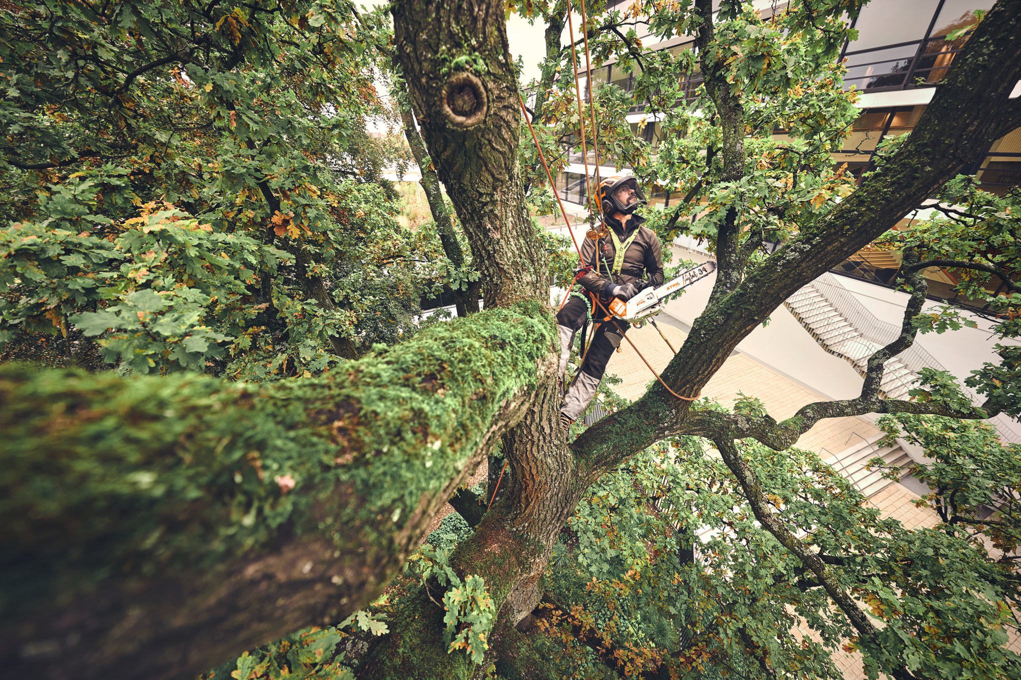 MSA 220 TC-O z akumulatorem i ładowarką