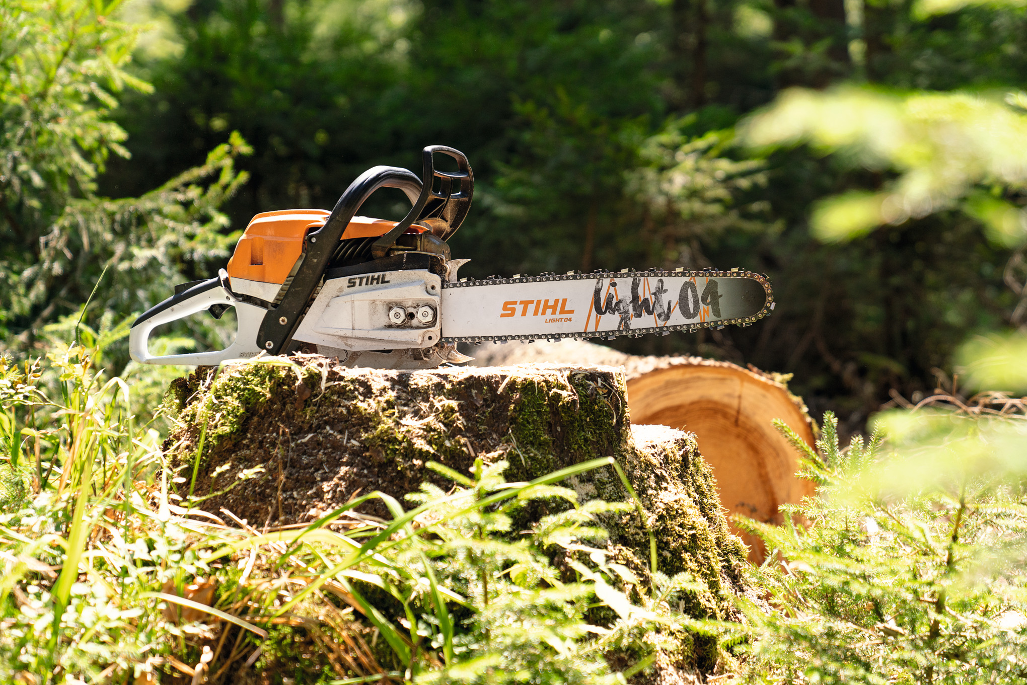 Spalinowa pilarka łańcuchowa STIHL MS 261 C-M na pniu drzewa w lesie