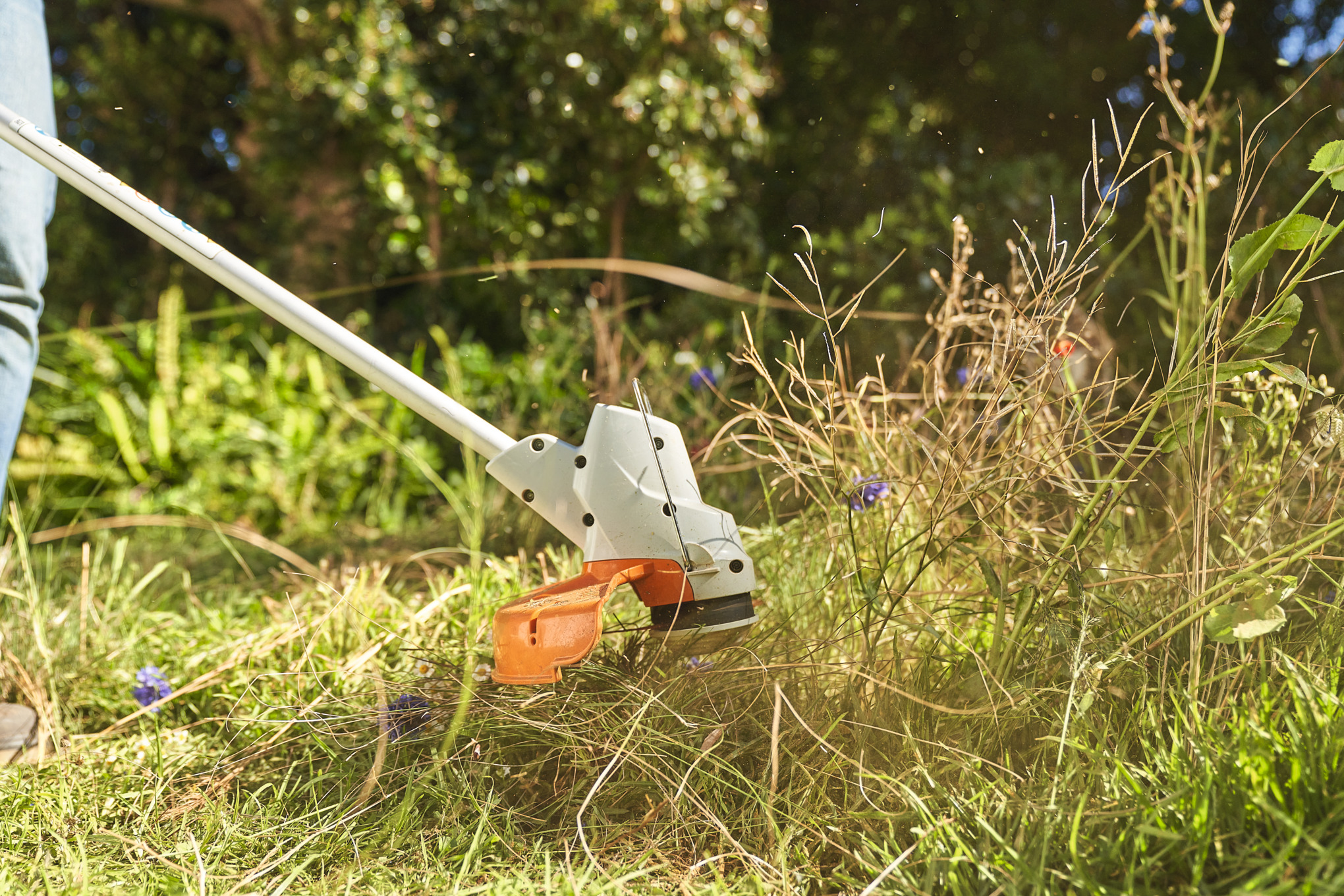 Zbliżenie na koszenie łąki z dzikimi kwiatami akumulatorową kosą mechaniczną STIHL FSA 57  
