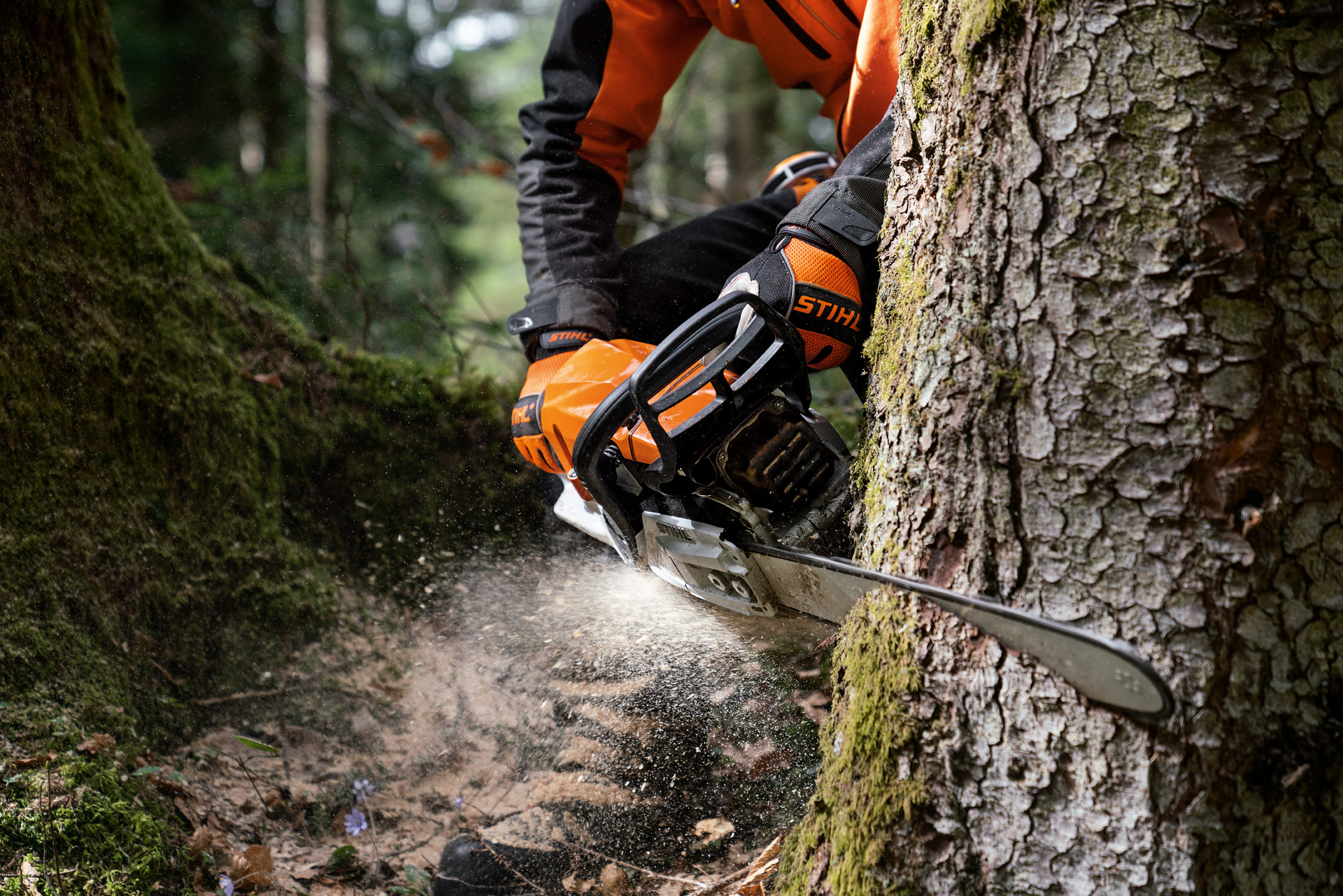 Osoba obsługująca pilarkę spalinową STIHL MS 400 C-M z tłokiem magnezowym ścina drzewo w wyposażeniu ochronnym.