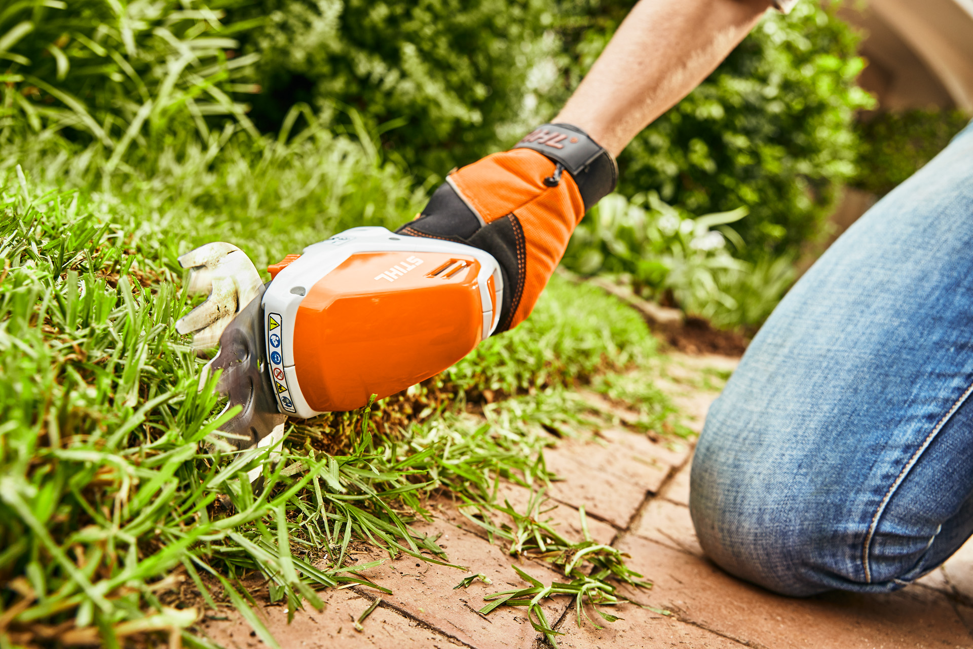 Cięcie krawędzi trawnika akumulatorowymi nożycami do krzewów i trawy STIHL HSA 26