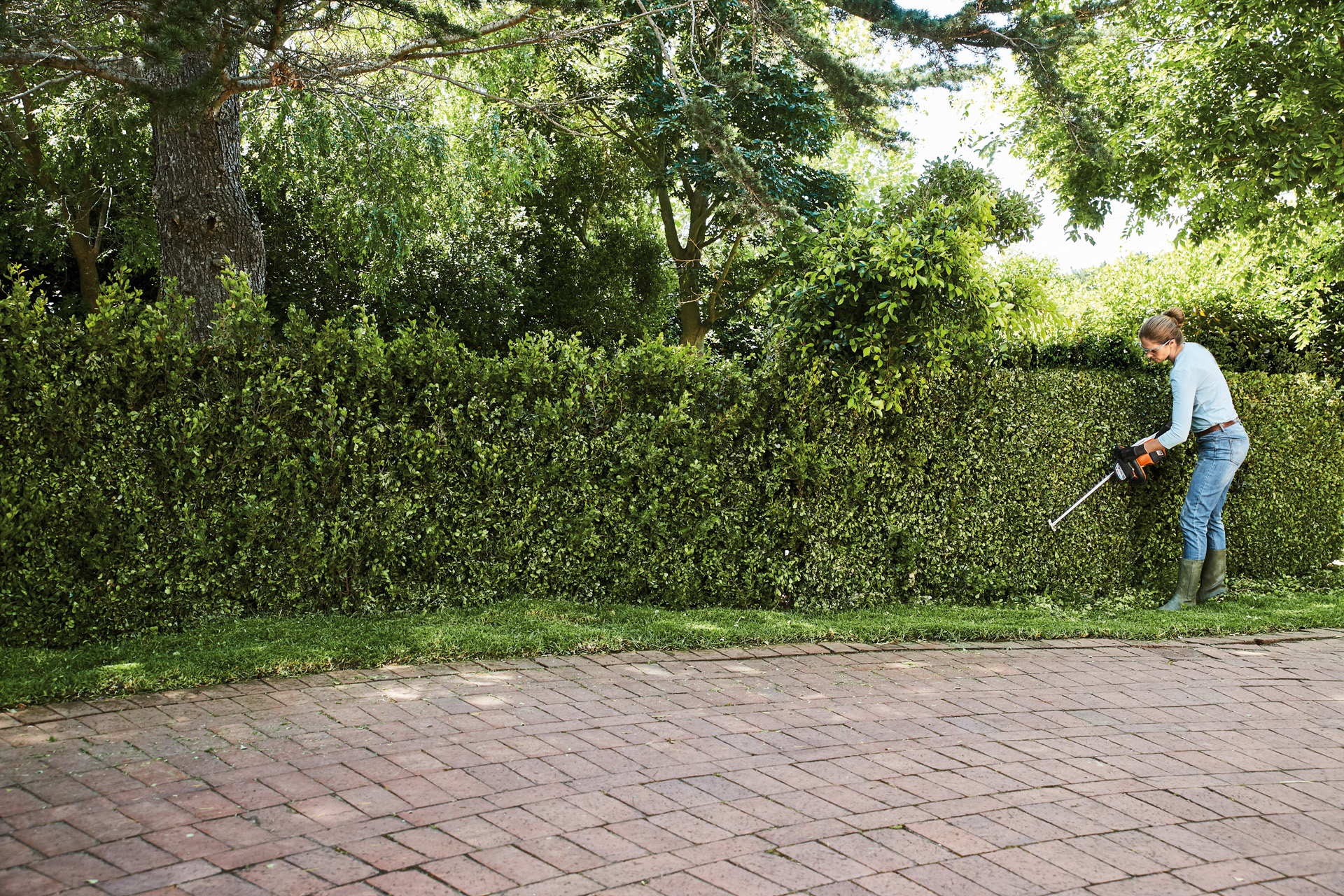 Kobieta przycinająca długi, wysoki i zielony żywopłot akumulatorowymi nożycami do żywopłotu STIHL HSA 56, w tle wysokie drzewa