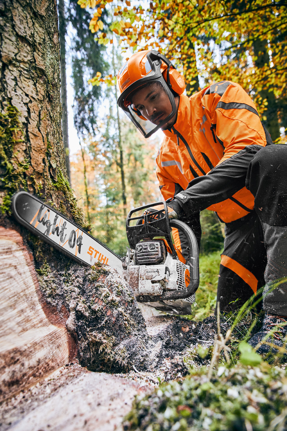 Osoba używająca pilarki benzynowej STIHL MS 261 C-M z prowadnicą Light 04 tnie drzewo