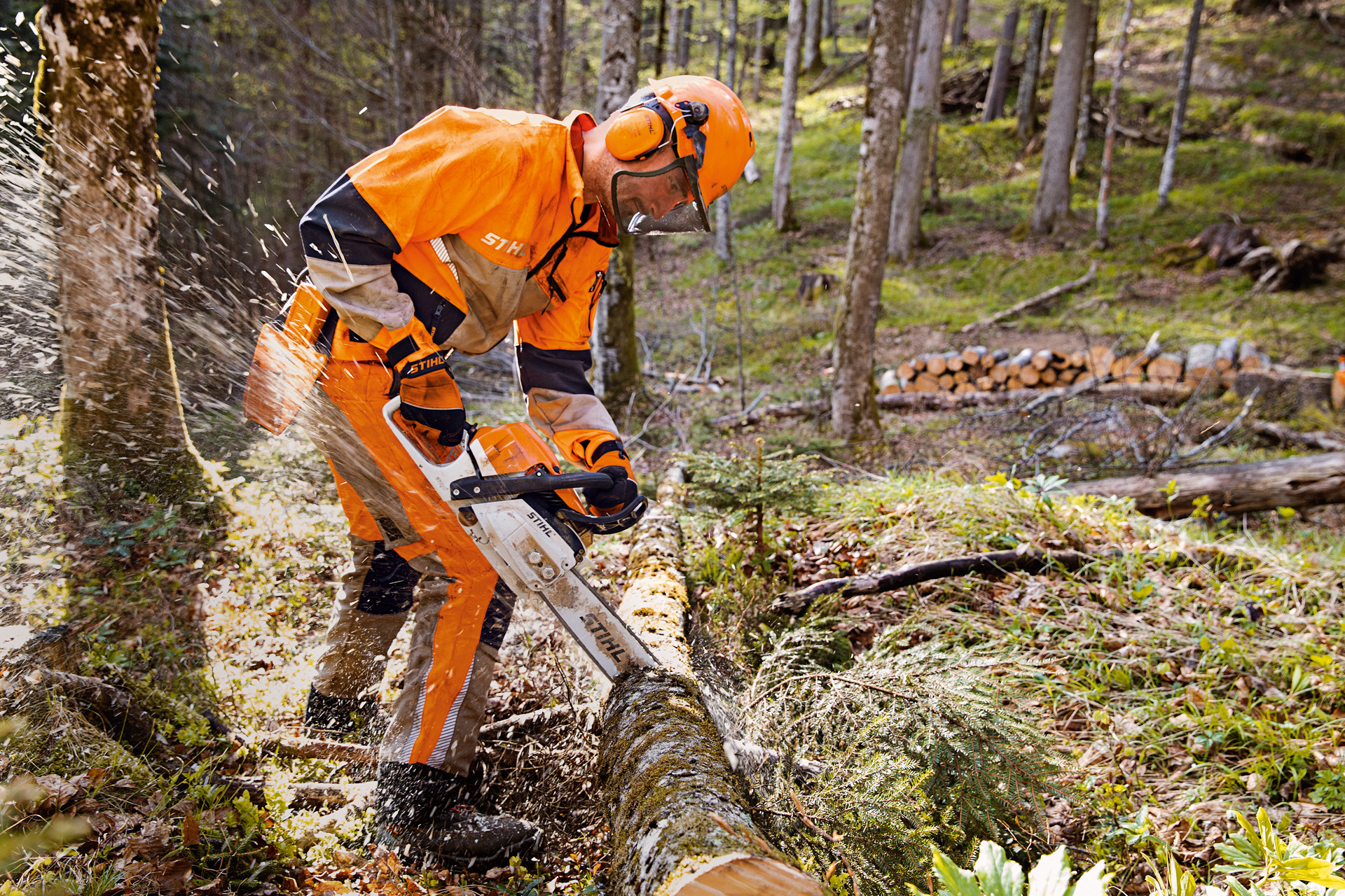 Pracownik leśny w odzieży ochronnej STIHL i spodniach Dynamic Vent (klasa ochrony antyprzecięciowej 1) piłuje drzewo pilarką STIHL w lesie
