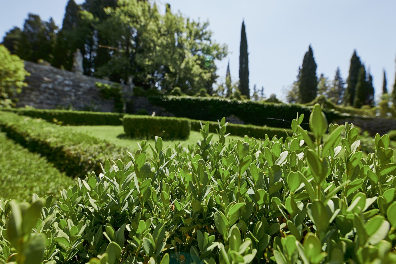 I-STIHL_NATURE_PROXIMITY_ITALY-IM-072