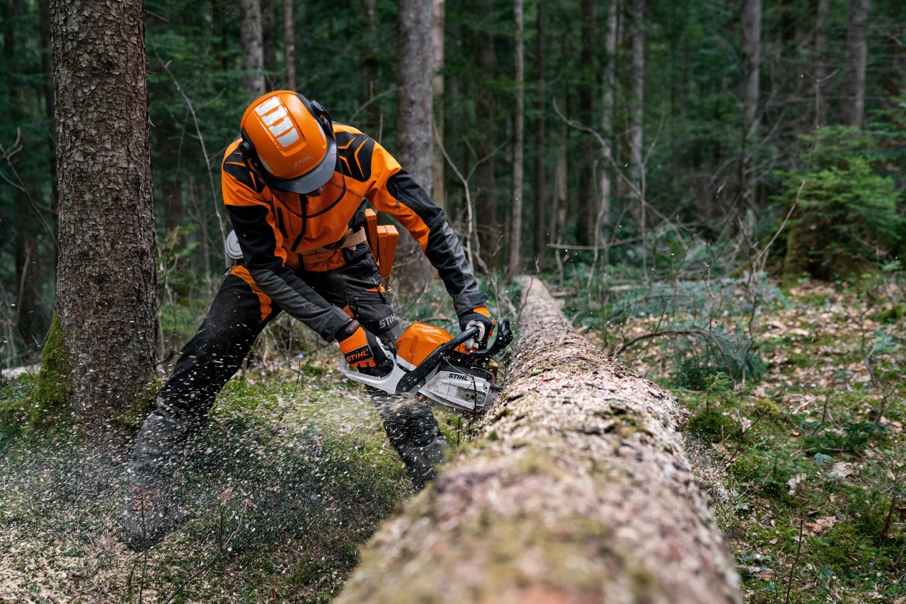 Mężczyzna w ubraniu ochronnym piłuje powalony pień drzewa benzynową pilarką spalinową STIHL MS 400 C-M z tłokami magnezowymi